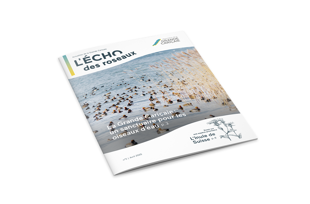image d'introduction