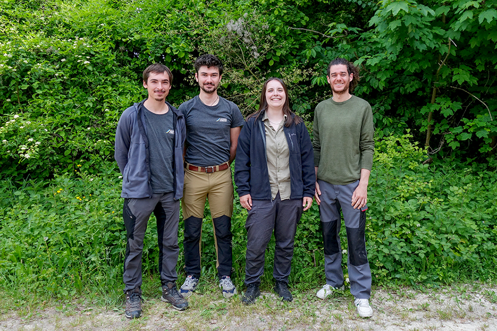 image d'introduction