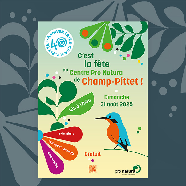 image d'actu