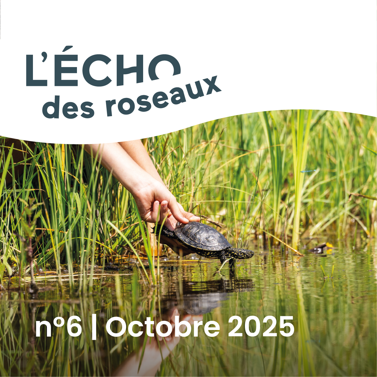 image d'actu
