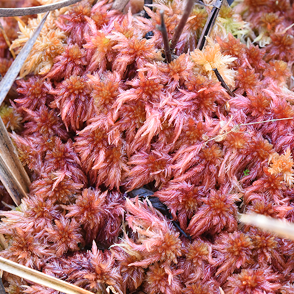 image d'actu