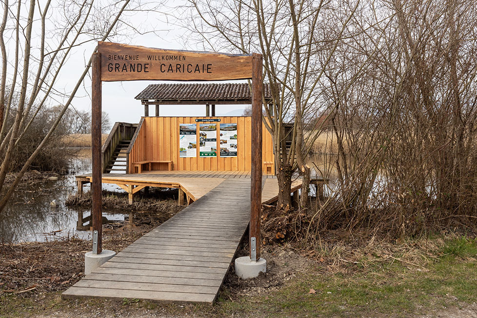 image d'introduction