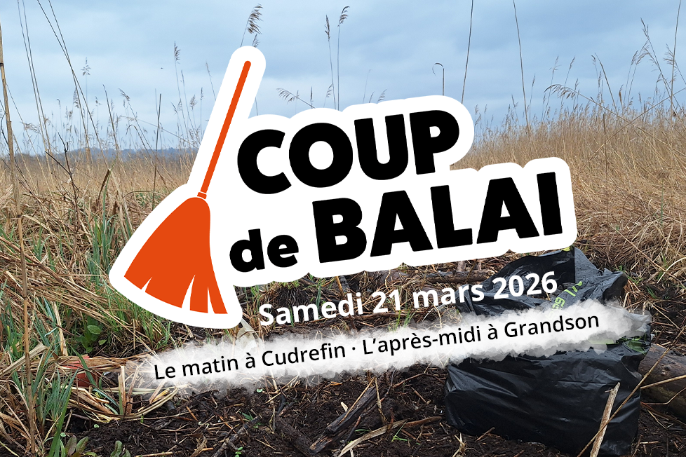 image d'introduction