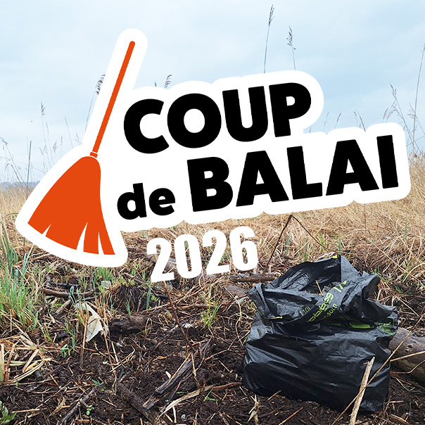 image d'actu