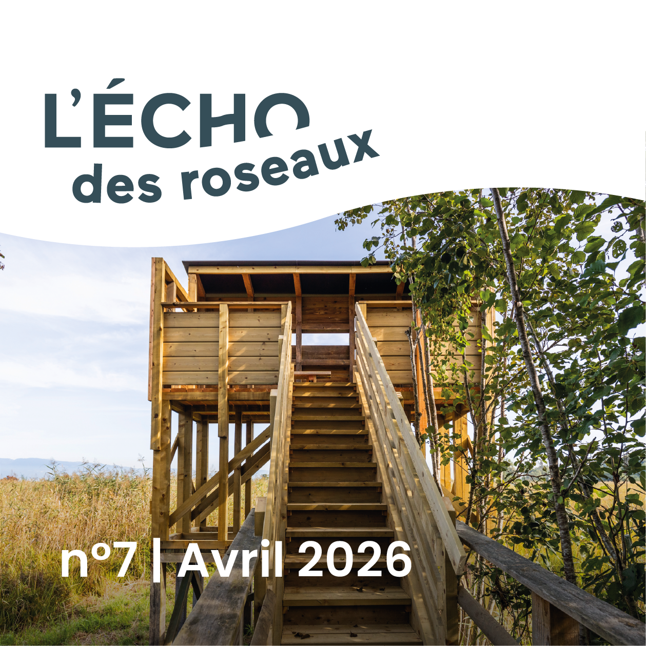 image d'actu