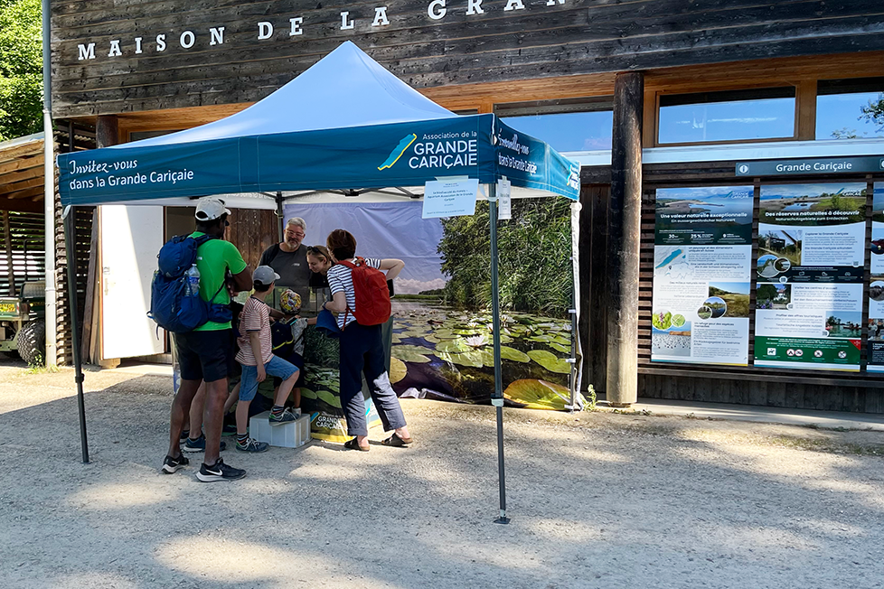 image d'introduction