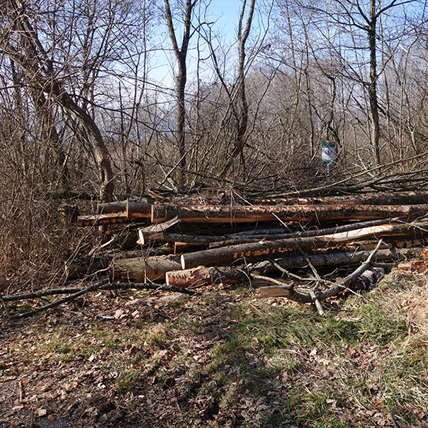 image d'actu