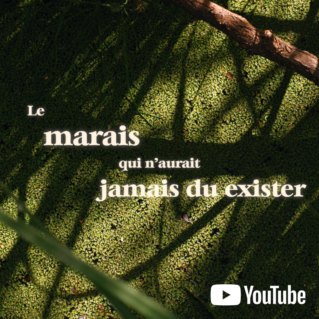 image d'actu
