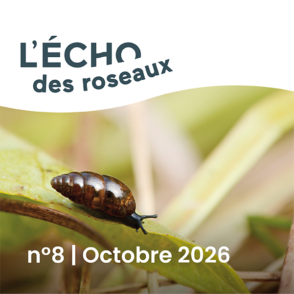 image d'actu