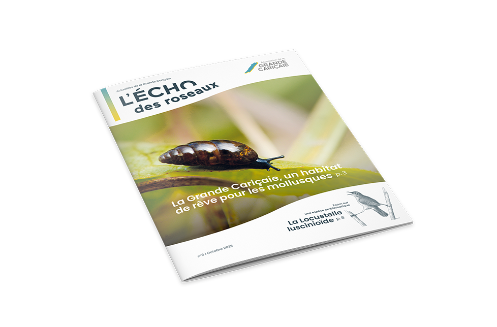 image d'introduction